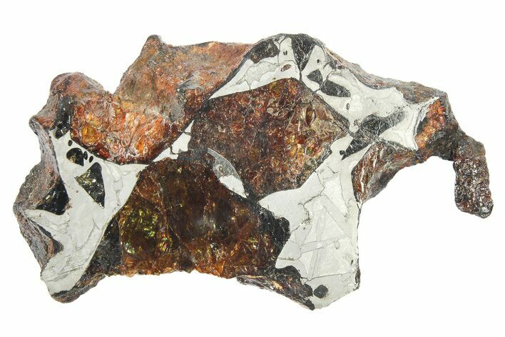 Pallasite Meteorite ( g) End Cut - NWA #269628